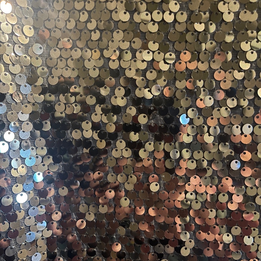 Express Sequined Top - image 2